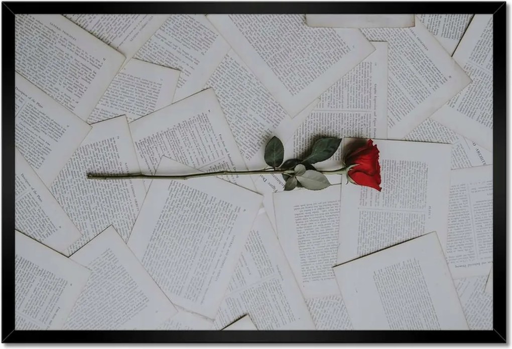 Poszterek keretben 60x40 Vörös rózsa a könyvön