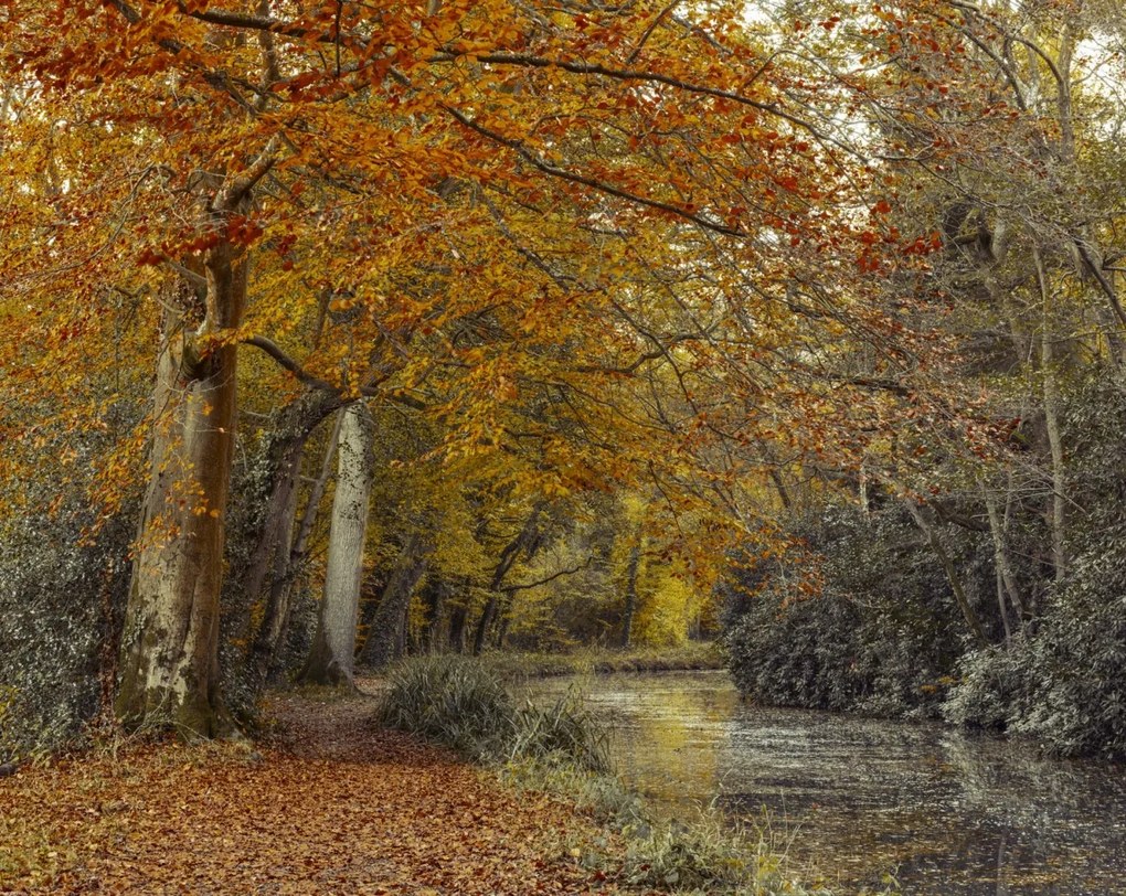 Poszter 76x60,5cm Ösvény a csatornánál, Assaf Frank