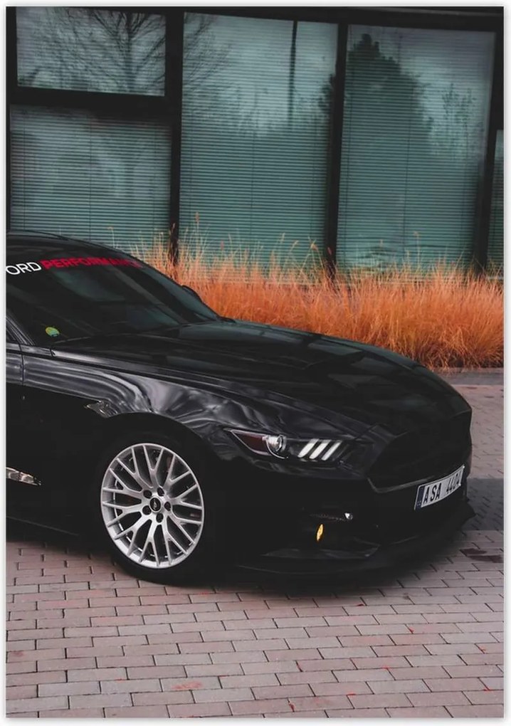Poszterek 70x100 Ford Mustang Usa autó