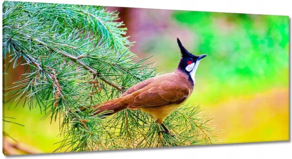 Vászonkép 115x55 Madár az ágon Természet