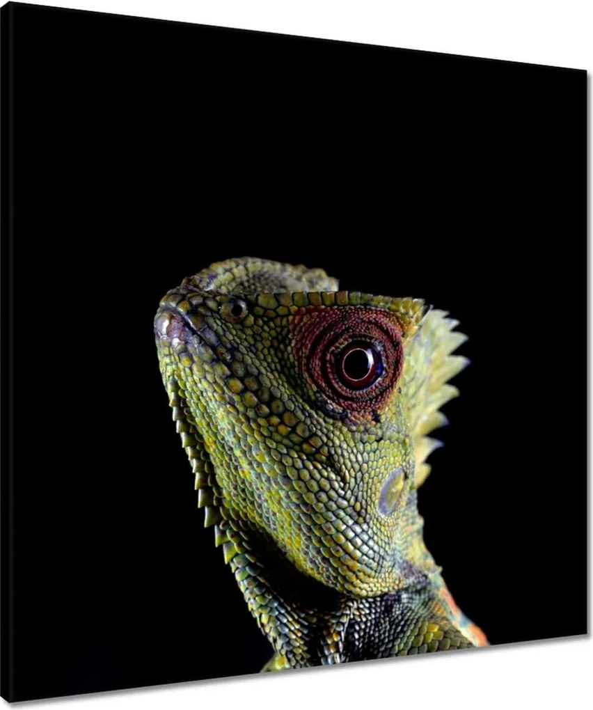 Vászonkép 60x60 Zöld gyík erdő