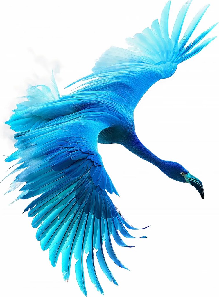 Poszter 40x55cm Kék repülés