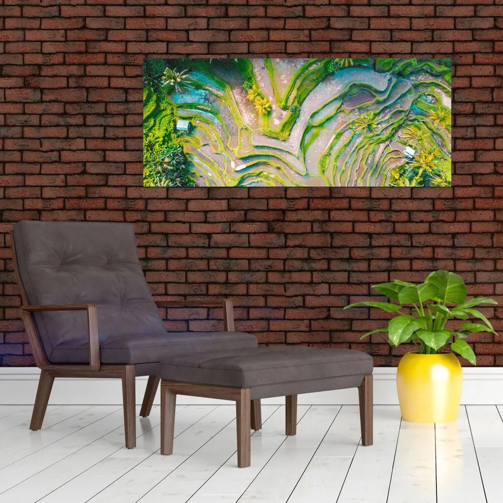 A rizsföldek képe madártávlatból (120x50 cm)