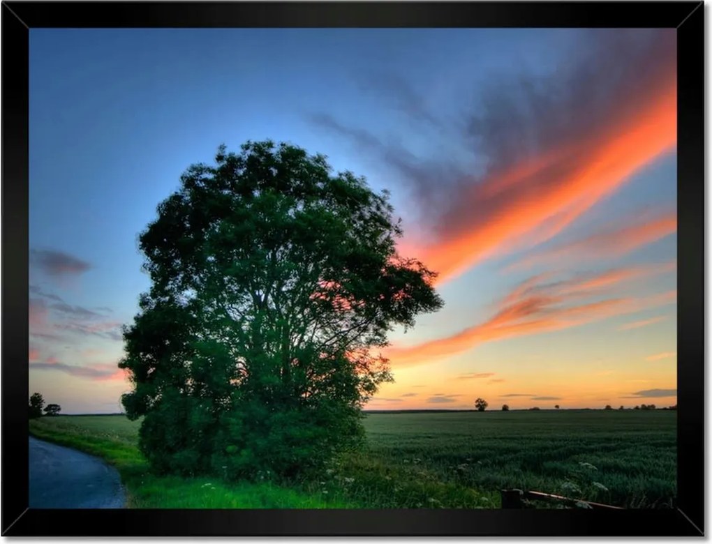Poszterek keretben 40x30 Fa naplementekor Lángoló égbolt