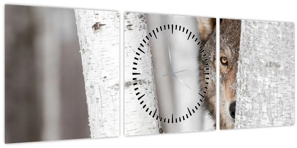 Kép - Farkas (órával) (90x30 cm)