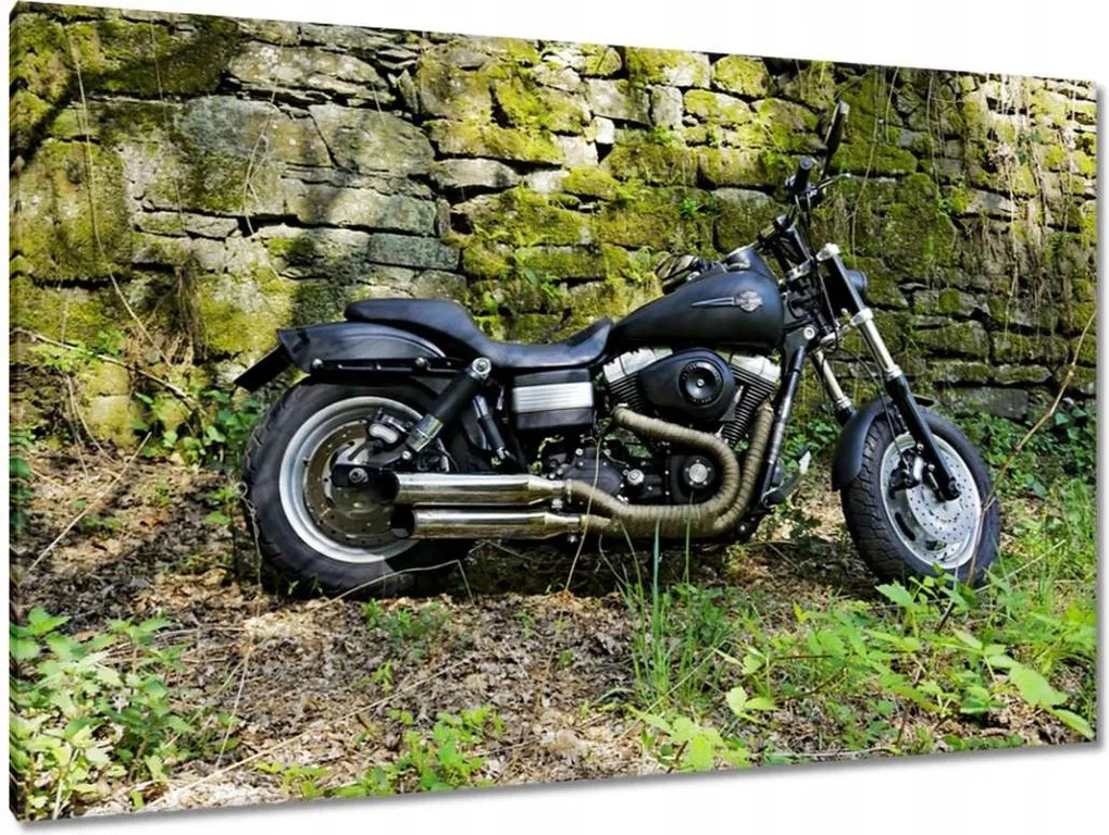 Festmények 120x80 Harley-val a kiránduláshoz