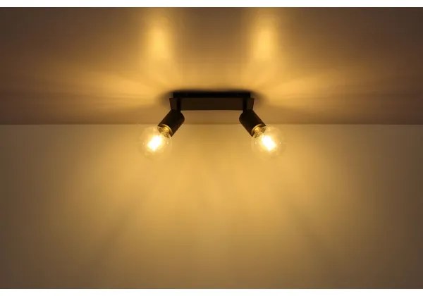 Globo 54030-2 - Spotlámpa HERMINE 2xE27/60W/230V