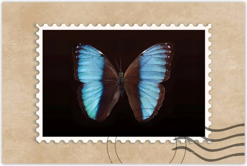 Poszterek 90x60 Kék pillangó