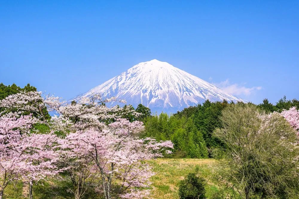 Kép Fuji vulkán