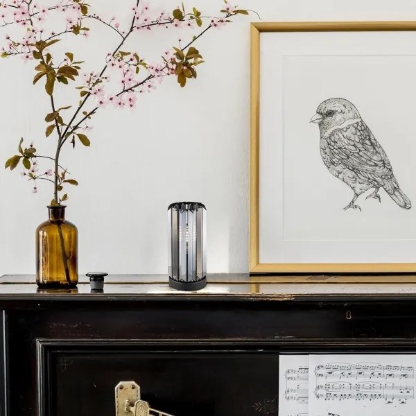 Rabalux 74206 - Asztali lámpa VENESS 1xE27/40W/230V