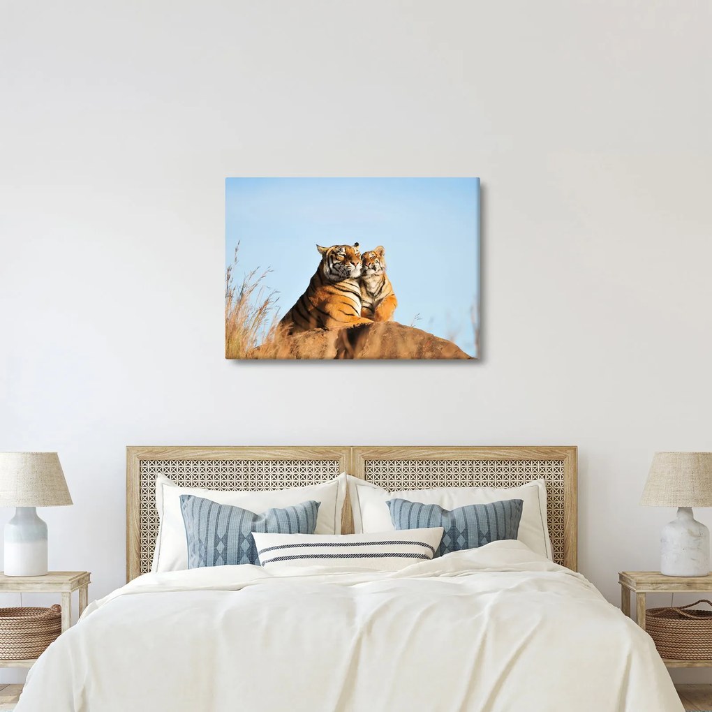 Kép - Tigris és a kölyke (70x50 cm)
