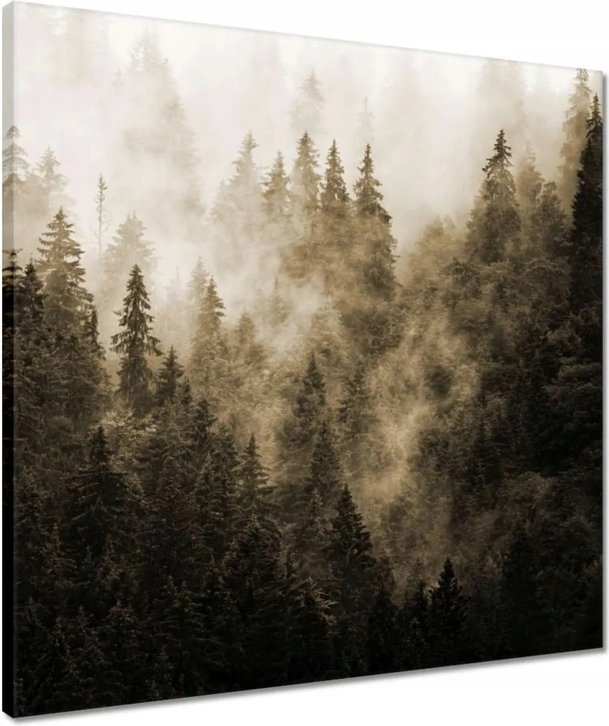 Vászonkép 50x50 Tájkép Szépia Hegyek Köd