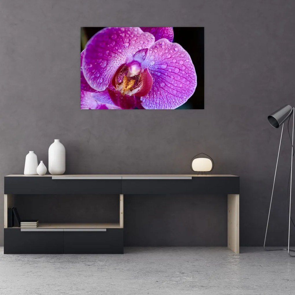 Részletes kép az orchidea virágról (90x60 cm)