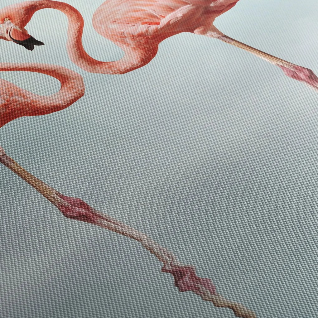 Két flamingó képe (90x60 cm)