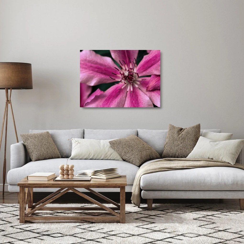 Rózsaszín flamingóvirág képe (üvegen) (70x50 cm)