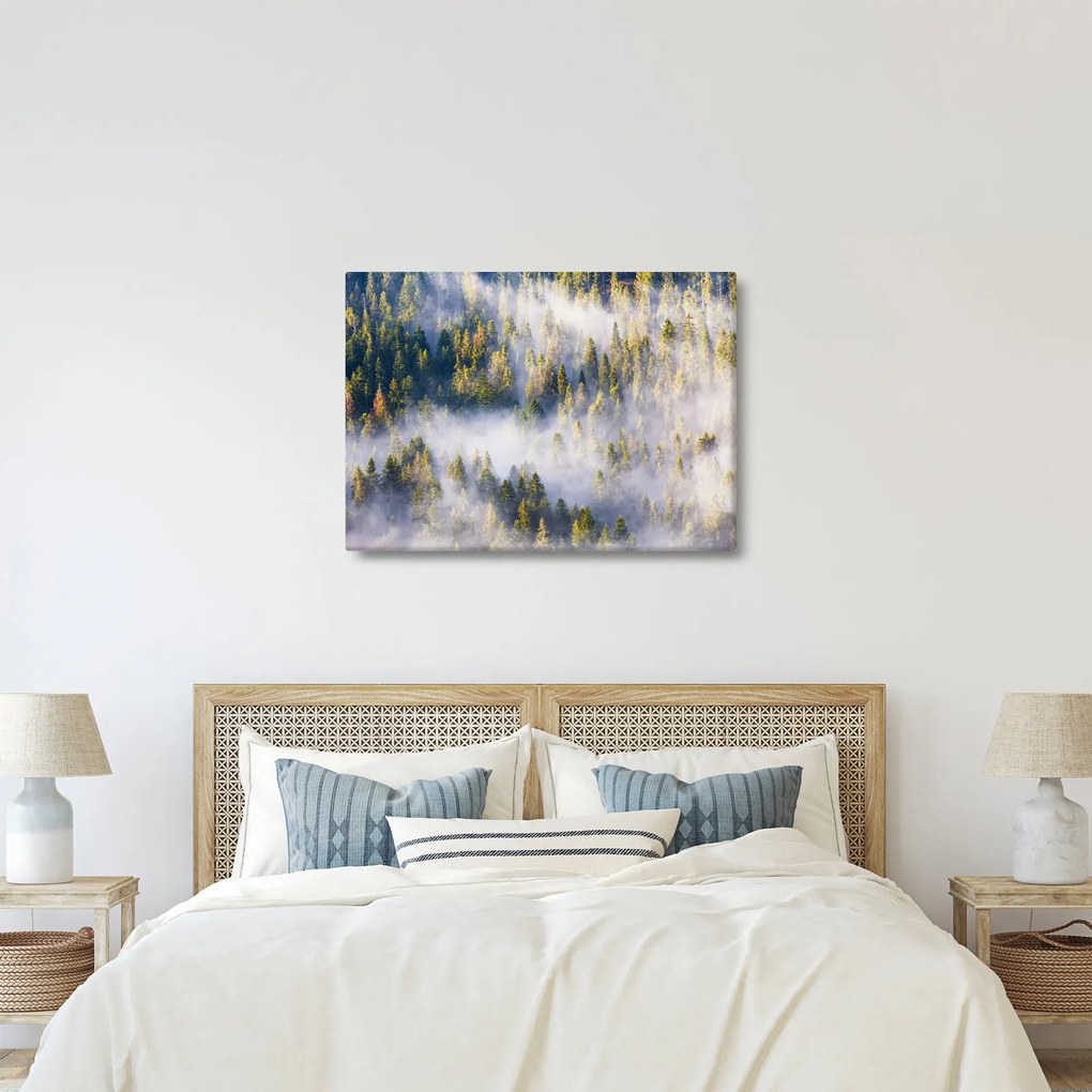 Fák képe a ködben (70x50 cm)