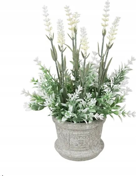 Levendula Virág Cserépben Ág, Mint Élő