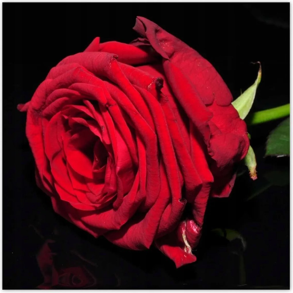 Poszterek 100x100 Nőnap Ajándék Love