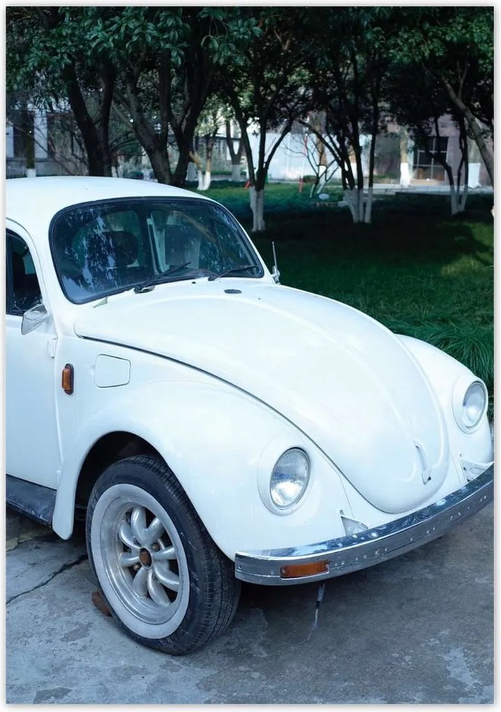 Poszterek 70x100 Bogár Volkswagen Vw Auto