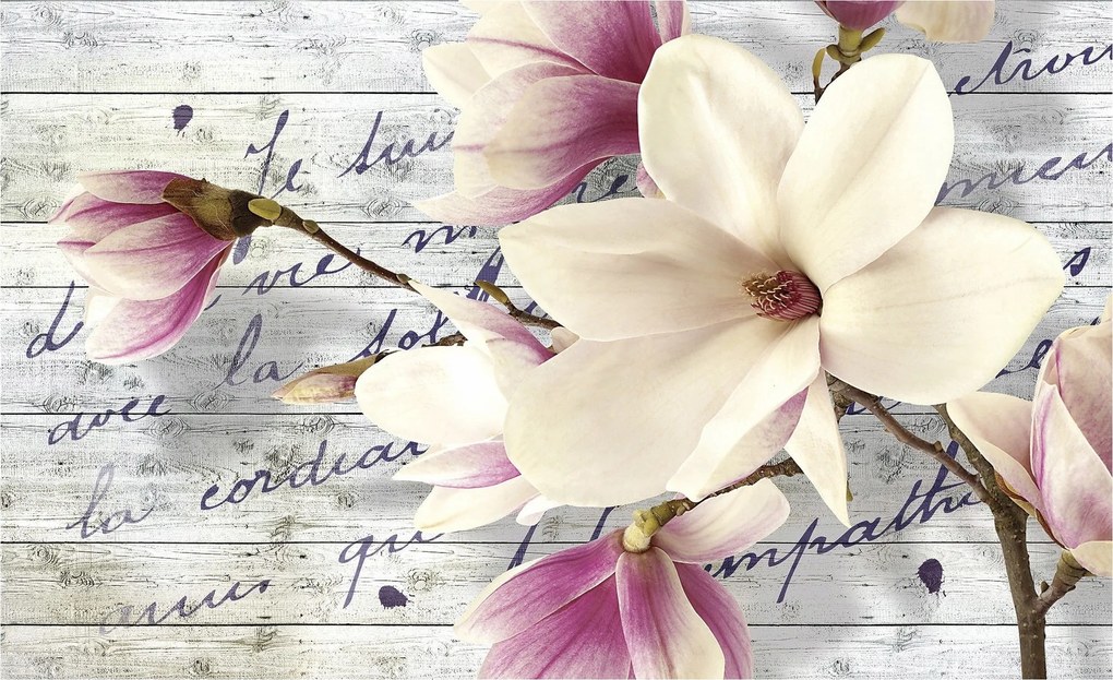 Magnólia fotótapéta fa vinil textúra 208x146 +ragasztó