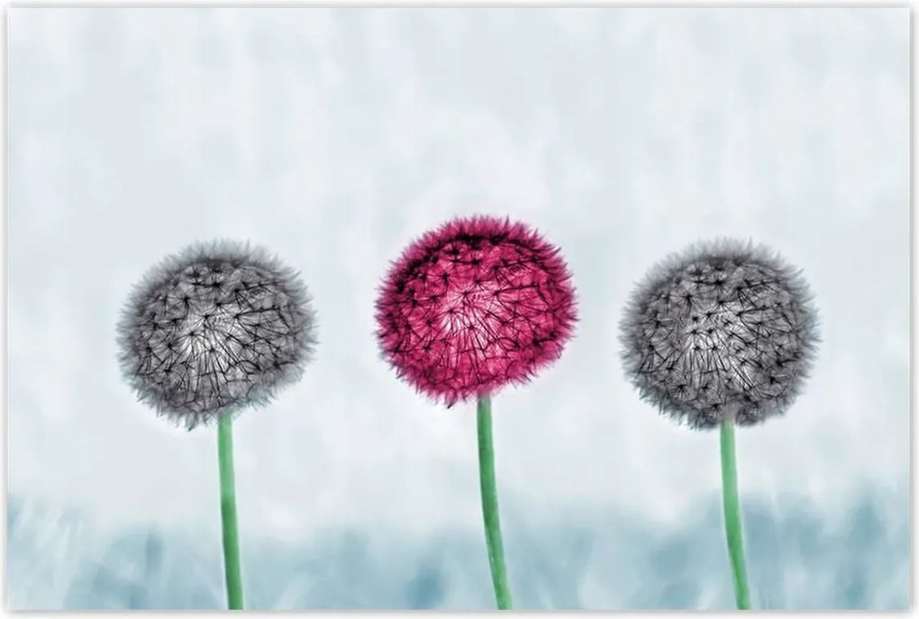 Poszterek 120x80 Szürke-lila