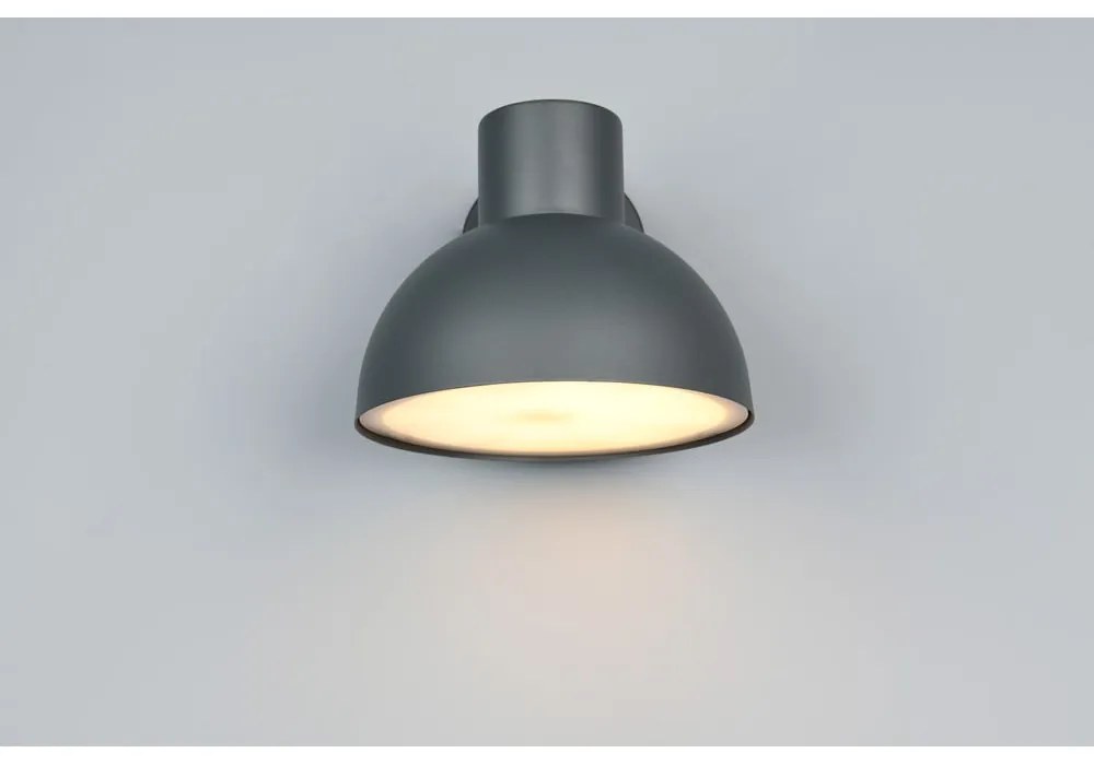 Fali kültéri lámpa (magasság 18,5 cm) Elbe – Trio