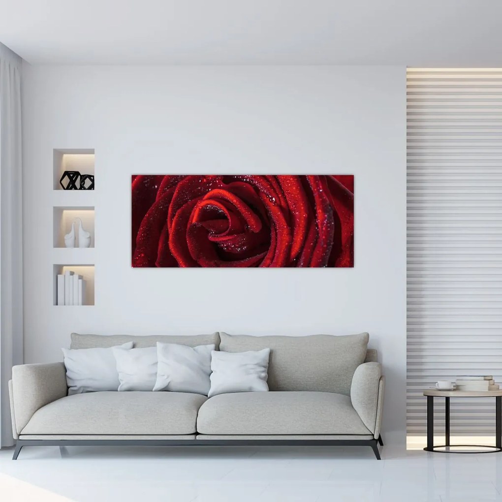 Kép - Vörös rózsa harmatcseppekkel (120x50 cm)