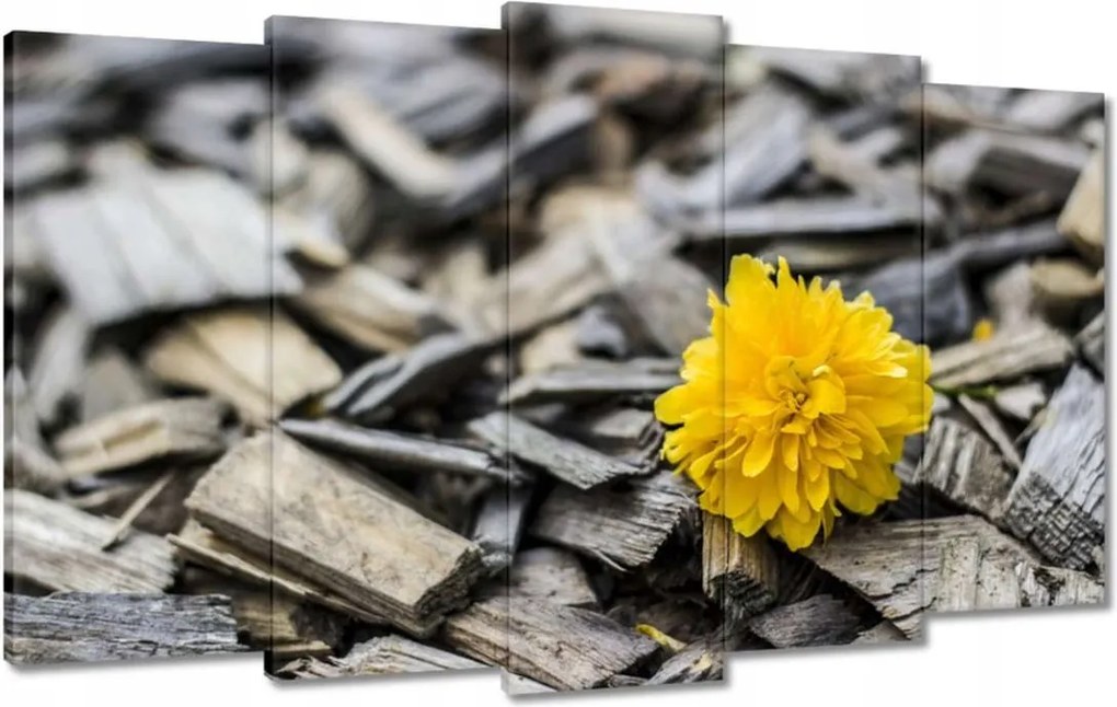 Vászonkép 100x60 Tej a faaprítékon