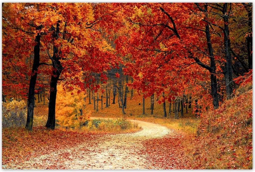 Poszterek 120x80 Tájkép