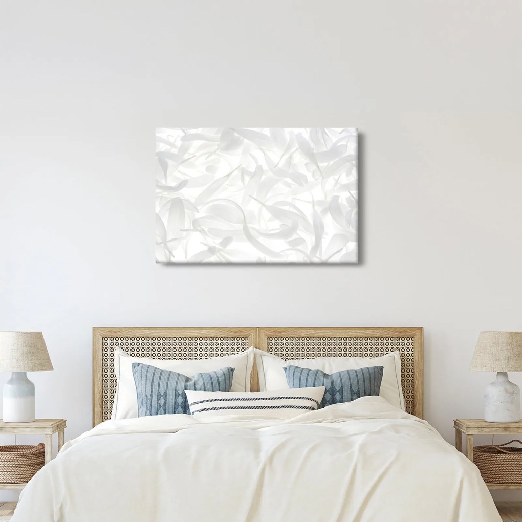 Kép - Szirmok (90x60 cm)