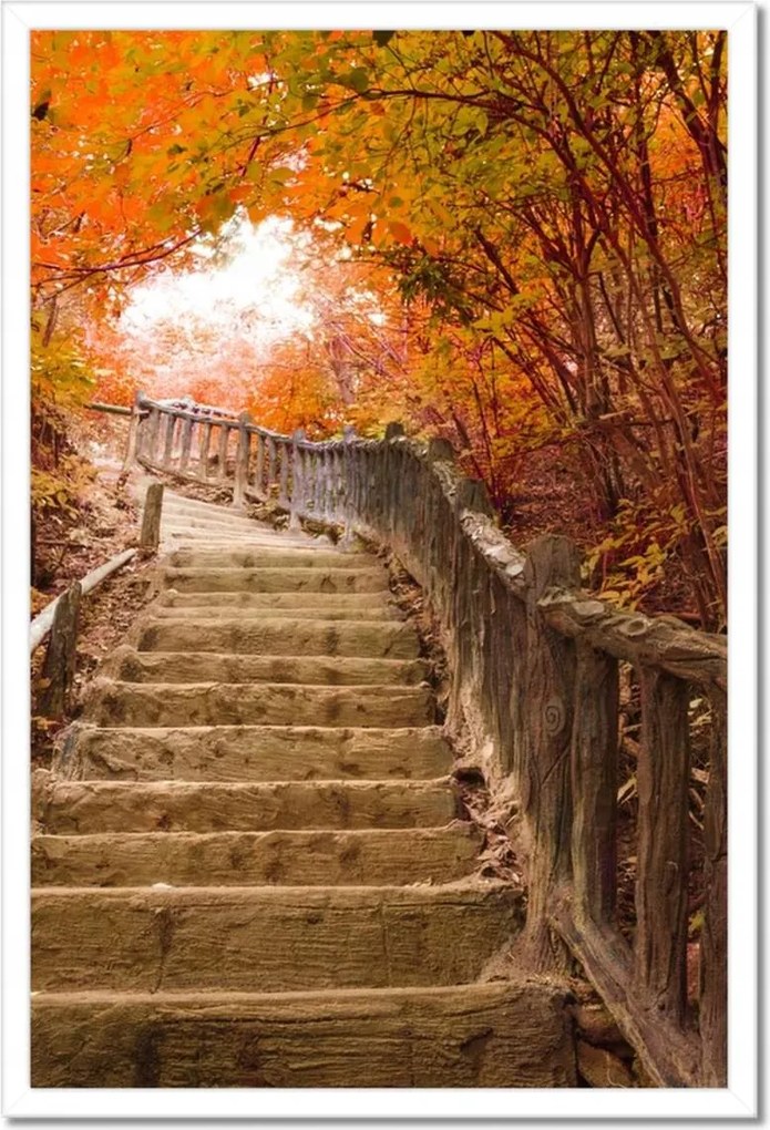 Poszterek keretben 40x60 Őszi séta Lépcsők