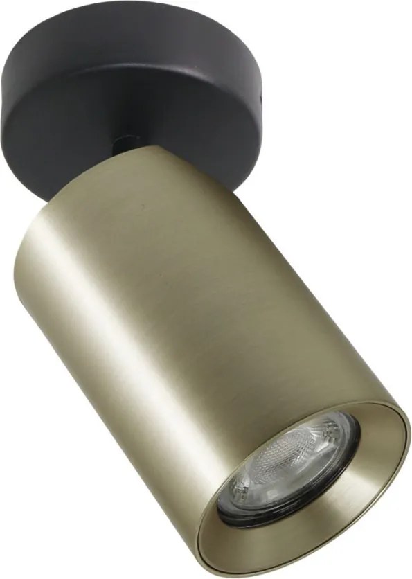 Zuma Line TORE TLS006-GLD Spotlámpa 1x35W/GU10 IP20