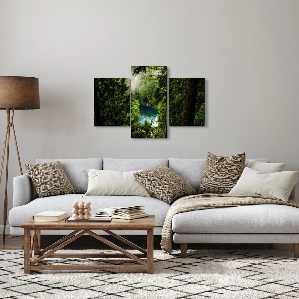 Kép - kilátás a fák között (90x60 cm)