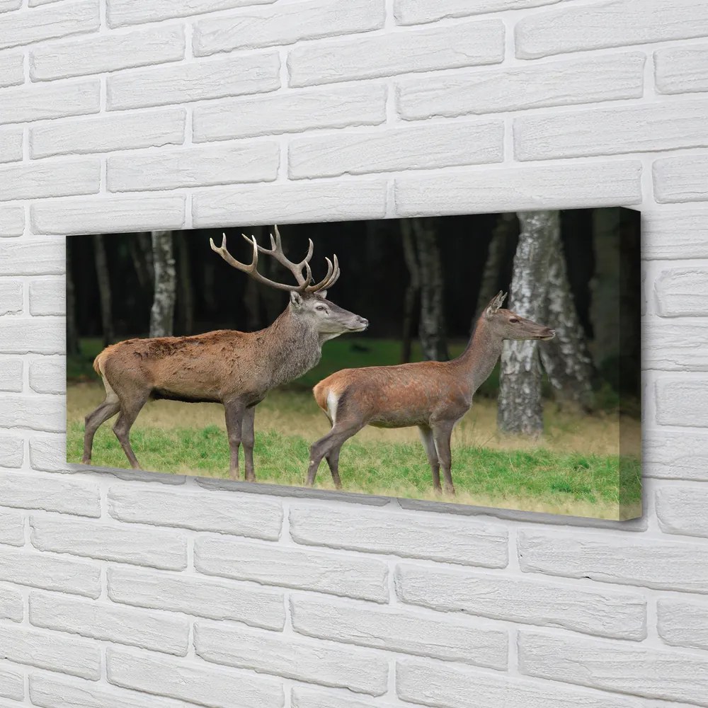 Canvas képek szarvas erdei 140x70 cm