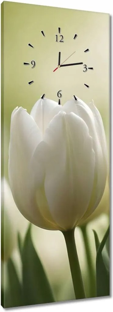 Órák 40x100 Fehér tulipánok