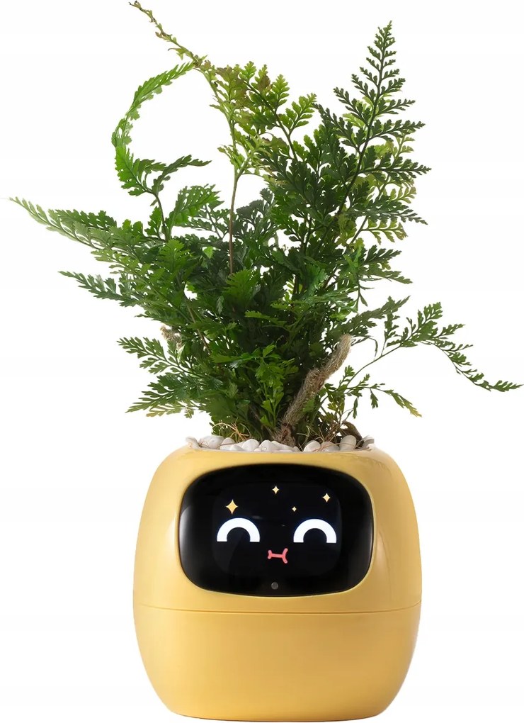 Intelligens virágtartó Ivy Smart Planter fedő virágtartóhoz Sárga Tuya