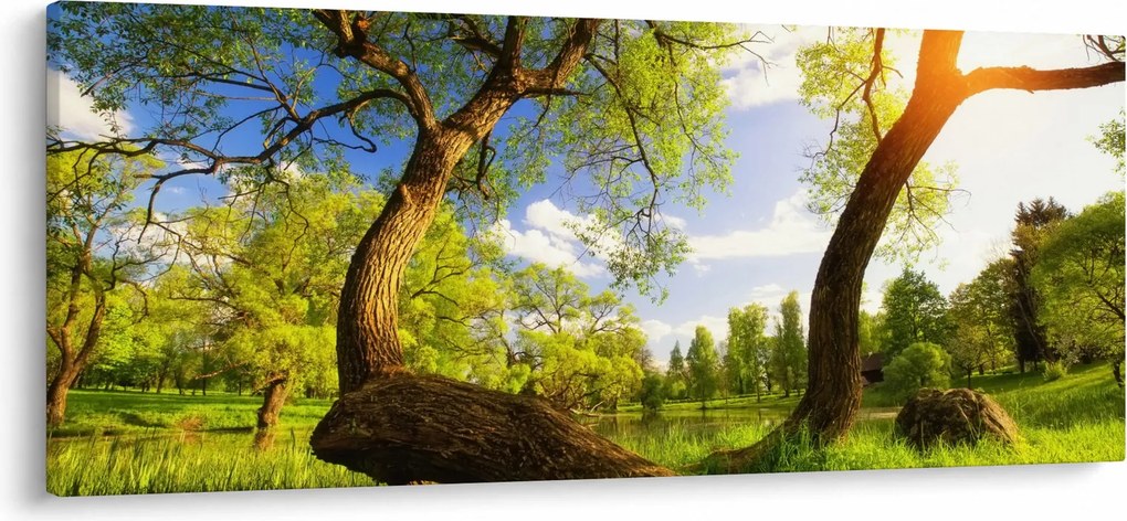 Kép egy tavaszi rétről (120x50 cm)