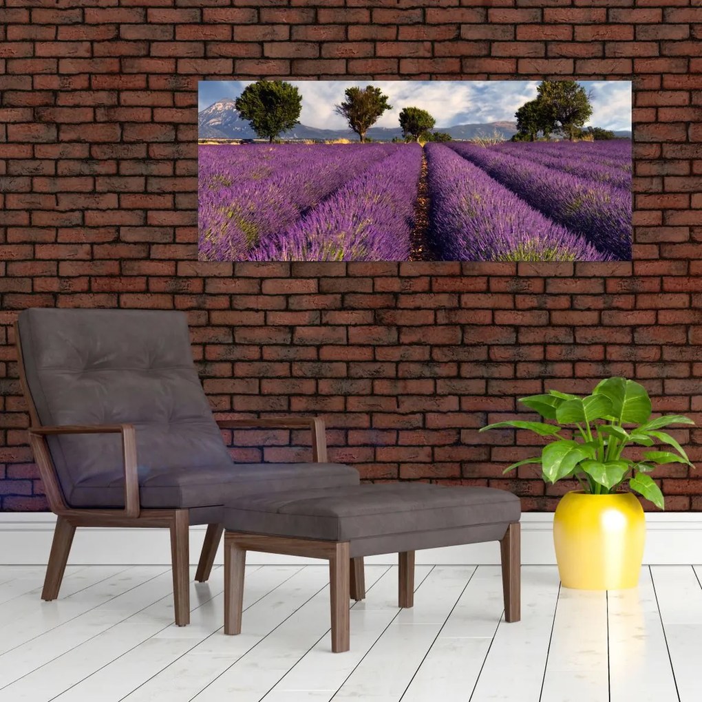 Kép - Levendula mező és hegyek (120x50 cm)