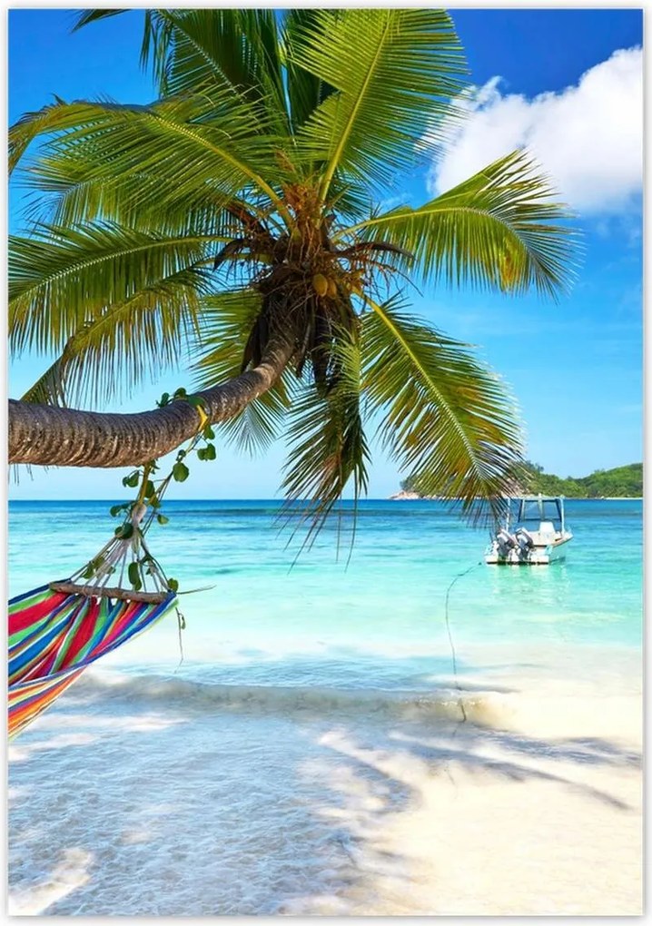 Poszterek 70x100 Trópusok Tájképek Pálmafák