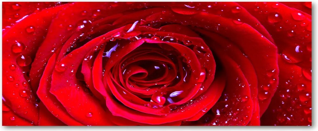 Modern üvegpanel a konyhába Rózsavirág XXL