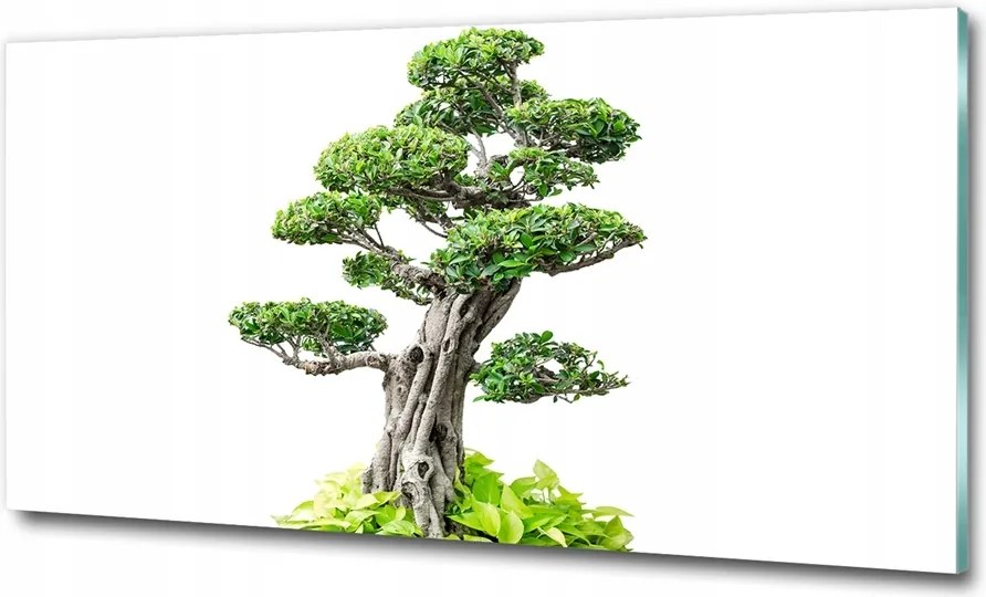 Fotó kép edzett üveg Tulipánok 100x70