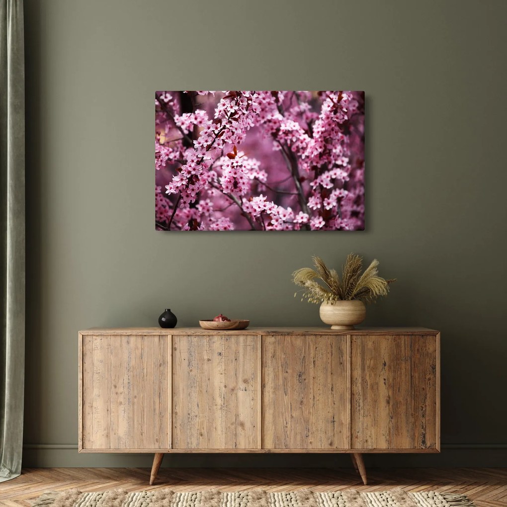 Kép - Rózsaszín sakura (90x60 cm)