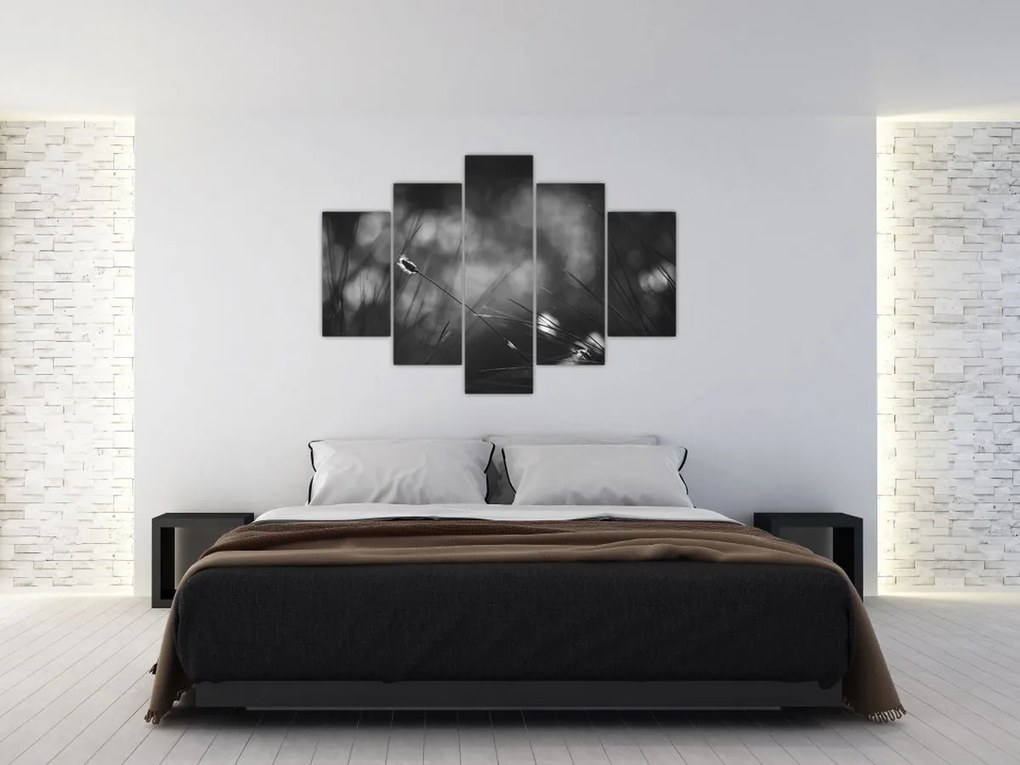 Kép - Mezei fű (150x105 cm)