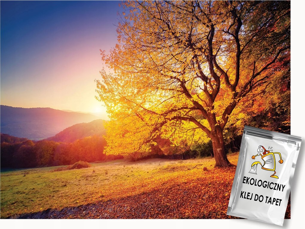Fotótapéta Flizelina Tájkép Természet Ősz Fa Nap 250x175 ragasztó