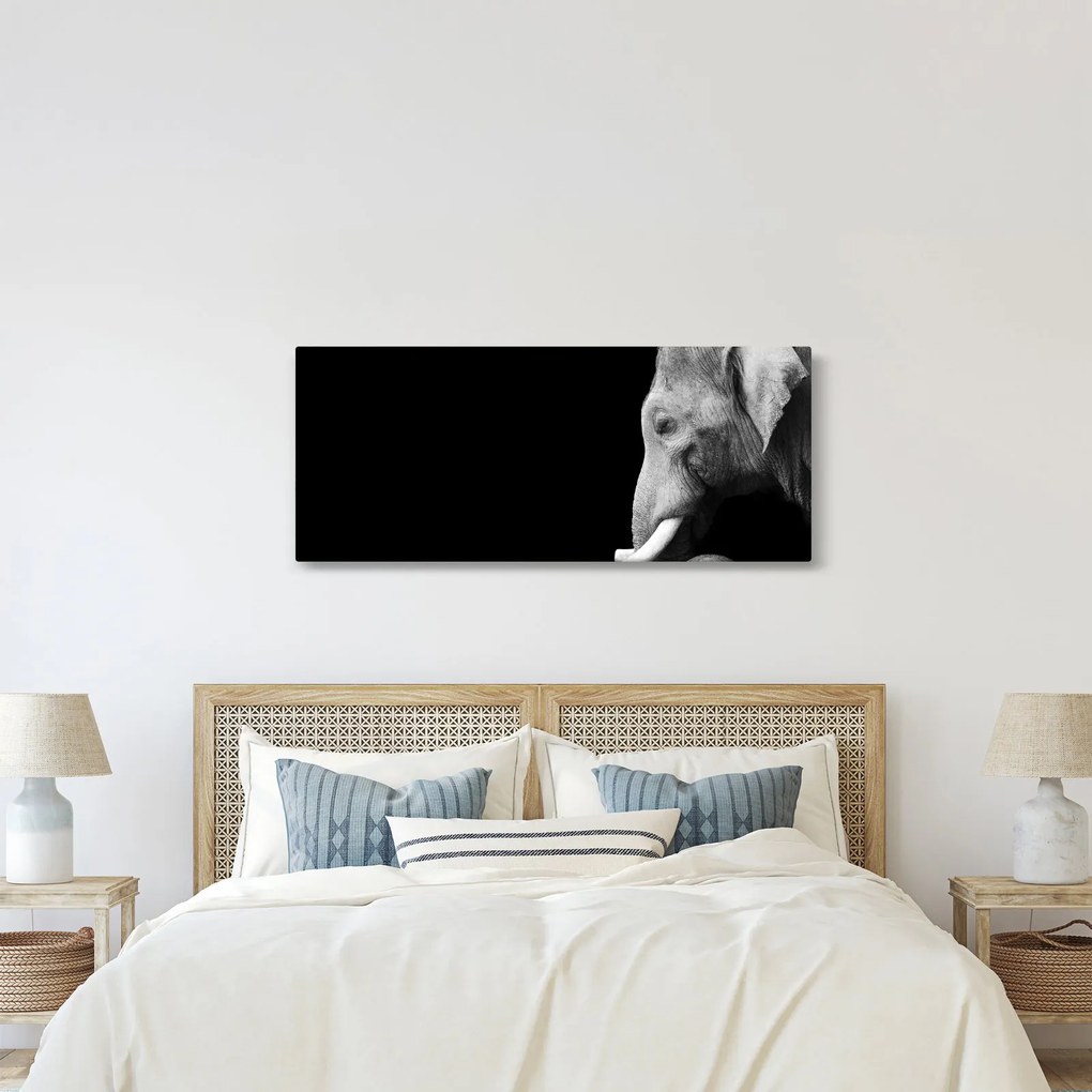Kép - Elefánt (120x50 cm)