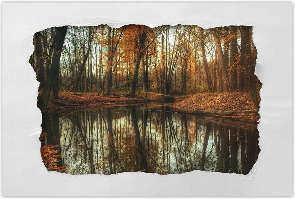 Poszterek 60x40 Őszi táj Tájkép