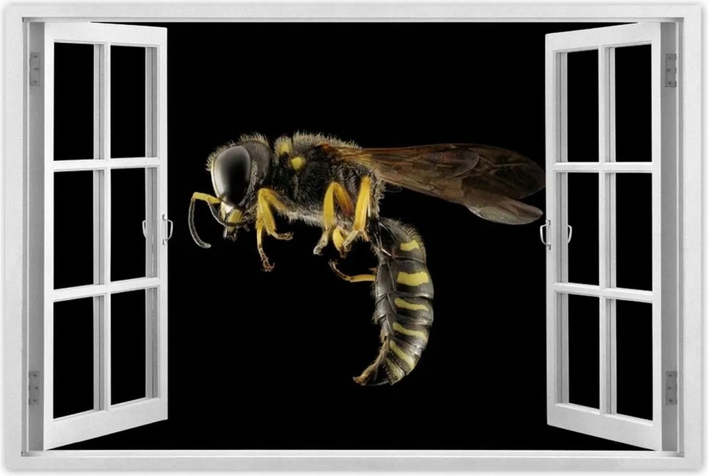 Poszterek 90x60 Darázs