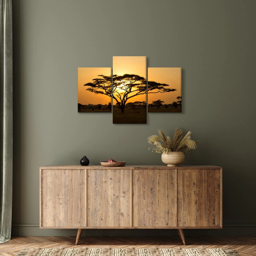 Kép - afrikai szavanna (90x60 cm)