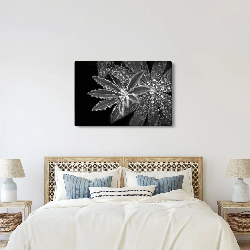 Kép - Levelek cseppekkel (90x60 cm)