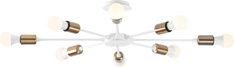 Ray - 1133